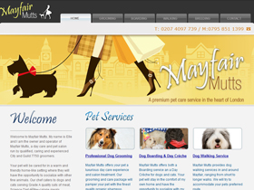 Mayfair Mutts - Dog Walking, London