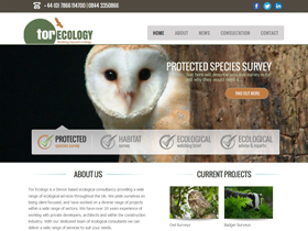 Tor Ecology Website, Totnes, Devon